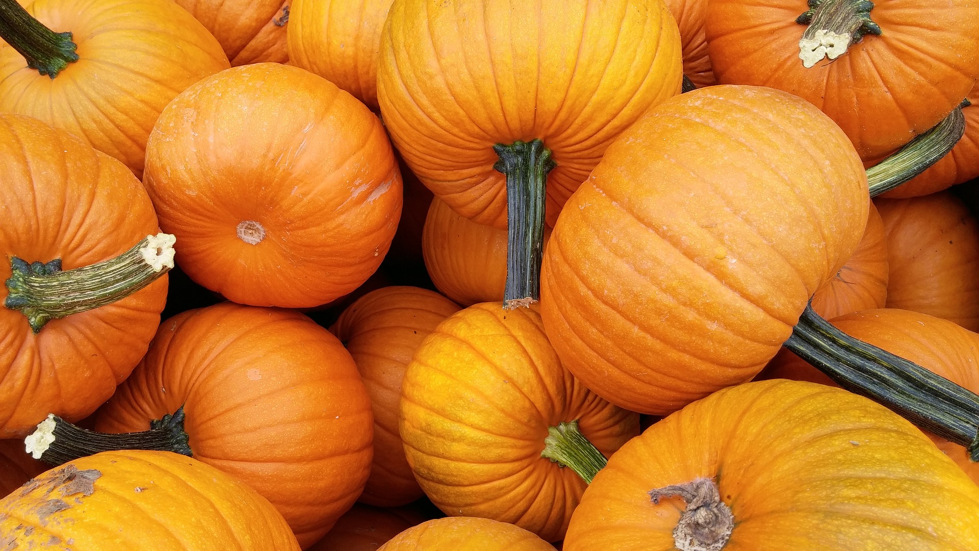 You are currently viewing Eat More Pumpkin for Eye Health